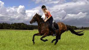 Enhance Your Skills with Premier Riding Lessons in Munich post thumbnail image